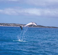 Steep Point - Accommodation in Bendigo