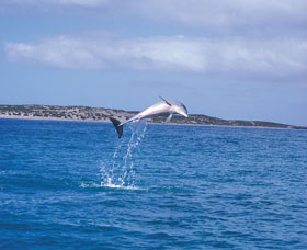 Steep Point - Accommodation in Bendigo 0