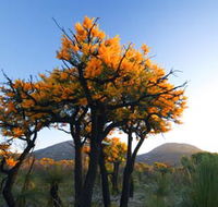 Cape Le Grand National Park - Accommodation in Bendigo