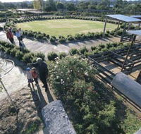 Kojonup Rose Maze - Accommodation in Bendigo
