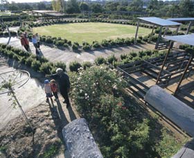 Kojonup Rose Maze - Accommodation in Bendigo 0