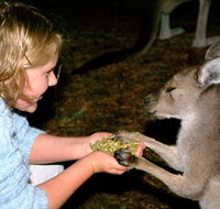 Discovery Bay's Walk on the Wild Side - Accommodation in Bendigo