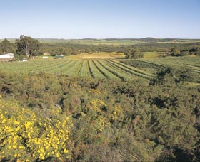 Chapman Valley Scenic Drive - Accommodation in Bendigo 0