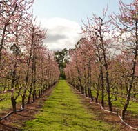 Raeburn Orchards - Accommodation in Bendigo