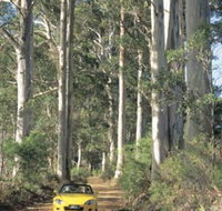 Mount Shadforth Scenic Drive - Accommodation in Bendigo