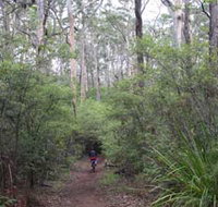 Margaret River Rails Trail - Accommodation in Bendigo