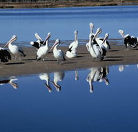 Peel Region Canoe Trails - Accommodation in Bendigo