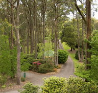 Mount Lofty Botanic Garden - Accommodation in Bendigo