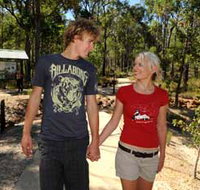 Crooked Brook Forest - Accommodation in Bendigo