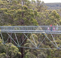Walpole Wilderness Discovery Centre - Accommodation in Bendigo