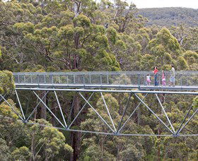 Walpole Wilderness Discovery Centre - Accommodation in Bendigo 0