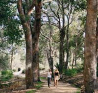 Law Trail and Lotterywest Federation Walkway Kings Park - Accommodation in Bendigo