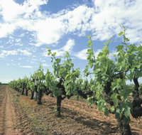 Blackwood Meadery - Accommodation in Bendigo