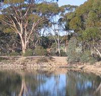 Merredin Railway Dam - Accommodation in Bendigo