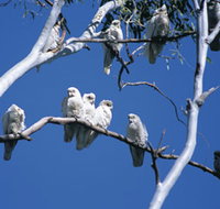 Carawine Gorge - Accommodation in Bendigo