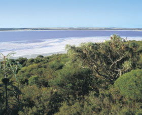 Pink Lake - Accommodation in Bendigo 0