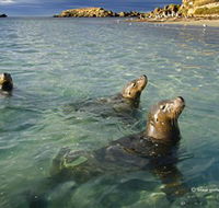 Shoalwater Islands Marine Park - Accommodation in Bendigo