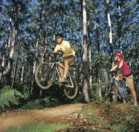Leeuwin-Naturaliste National Park - Cowaramup - Accommodation in Bendigo