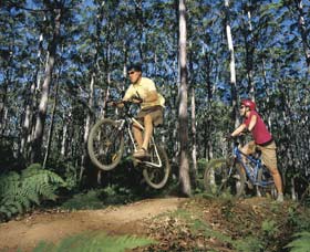 Leeuwin-Naturaliste National Park - Cowaramup - Accommodation in Bendigo 0