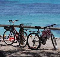 Parker Point Marine Snorkel Trail - Accommodation in Bendigo