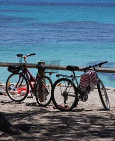 Parker Point Marine Snorkel Trail - Accommodation in Bendigo 0