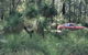 Bridgetown Jarrah Park - thumb 0