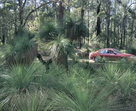 Bridgetown Jarrah Park - Accommodation in Bendigo 0