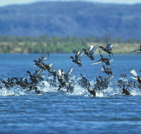 Ord River - Accommodation in Bendigo