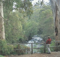 Cascades - Accommodation in Bendigo