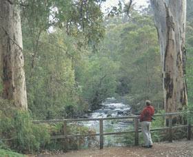 Cascades - Accommodation in Bendigo 0
