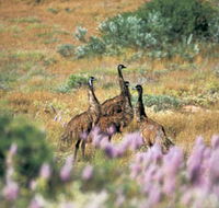Jurabi Coastal Reserve - Accommodation in Bendigo