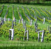 Sienna Estate Winery - Accommodation in Bendigo