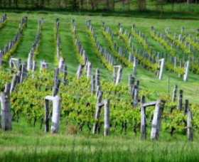 Sienna Estate Winery - Accommodation in Bendigo 0