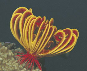 Muiron Islands - Accommodation in Bendigo 0