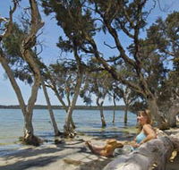 Stokes National Park - Accommodation in Bendigo