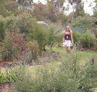 The Mythic Mazes - Accommodation in Bendigo