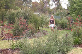 The Mythic Mazes - Accommodation in Bendigo 0