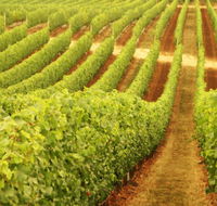 Xanadu Wines - Accommodation in Bendigo