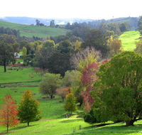 Golden Valley Tree Park - Accommodation in Bendigo