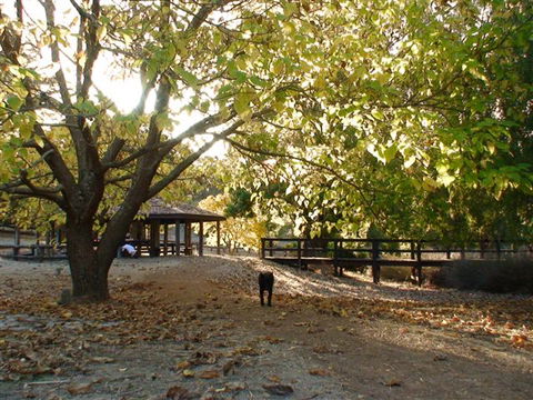 Golden Valley Tree Park - Accommodation in Bendigo 1