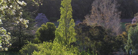 Golden Valley Tree Park - Accommodation in Bendigo 3