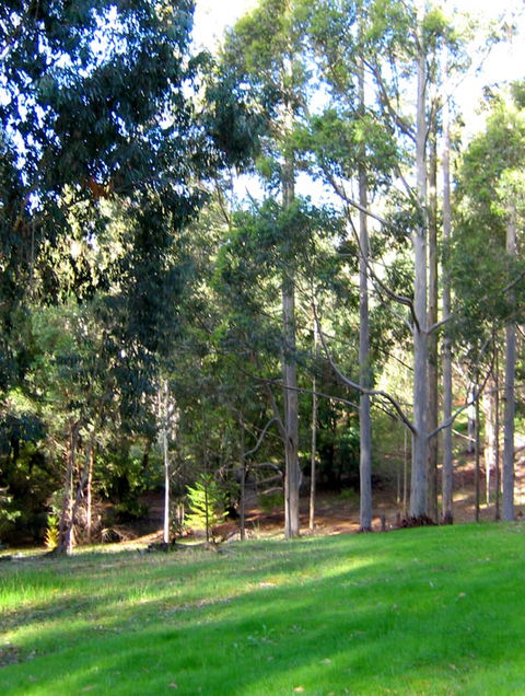 Golden Valley Tree Park - Accommodation in Bendigo 6