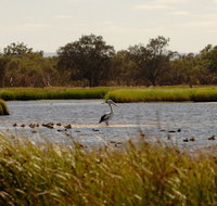 Anytime Adventures in Mandurah  the Peel Region - Accommodation in Bendigo