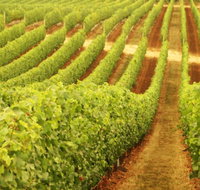 Happs Wines - Accommodation in Bendigo