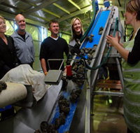 Eyre Peninsula's Seafood Trail - Accommodation in Bendigo