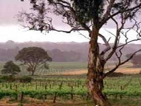  Accommodation in Bendigo