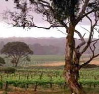 Yangarra Estate Vineyard - Accommodation in Bendigo
