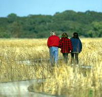 Onkaparinga River Recreation Park - Accommodation in Bendigo