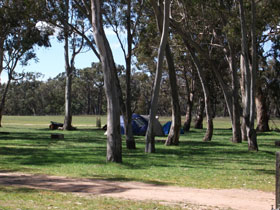 Wild Dog Valley SA Accommodation in Bendigo