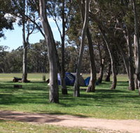 Black Cockatoo Bush Camp - Accommodation in Bendigo